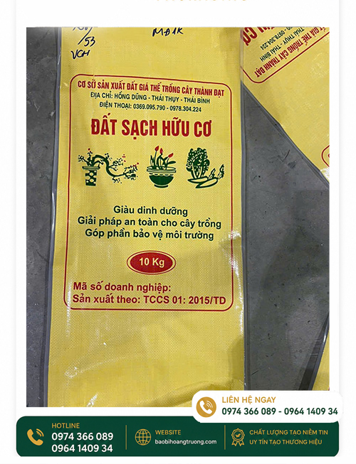 Bao tráng